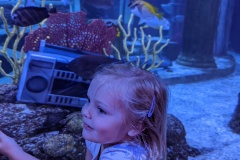 PXL_20250718_214402579