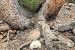20260718_131230