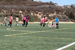 IMG_20260730_202239