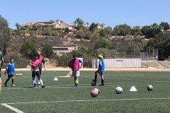 IMG_20260730_202258