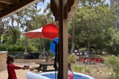 IMG_20260730_202646