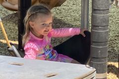 IMG_20260730_202703