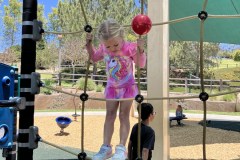 IMG_20260730_202722