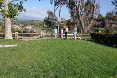 IMG_20230612_173025508