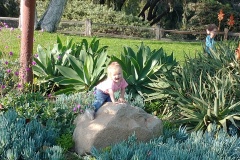 IMG_20230612_174722673