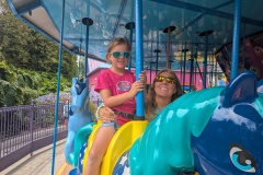 PXL_20250624_175344506.MP_