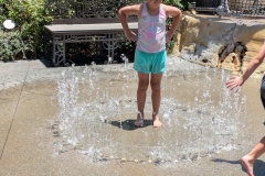 PXL_20250625_194942345.MP_