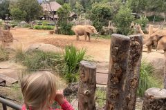 IMG_20260629_182621