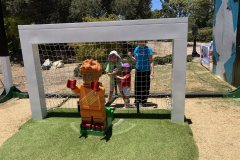 IMG_20260629_182641