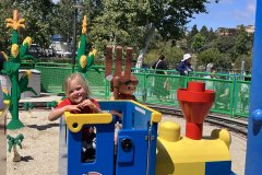 IMG_20260629_182842