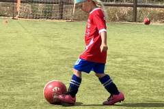 IMG_20260629_182853