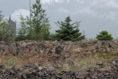 PXL_20260615_013505529