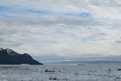 PXL_20260616_025644368