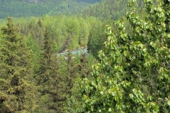 PXL_20260617_195325848