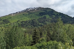 PXL_20260617_195532576
