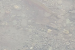 PXL_20260618_025718178