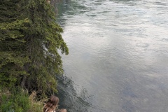 PXL_20260618_025852238