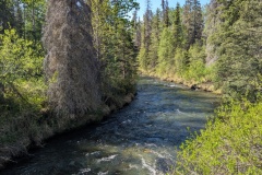 PXL_20260618_193442072