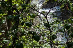 PXL_20260618_195043465