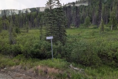 PXL_20260622_225952384
