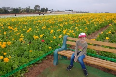 IMG_20230314_095035132