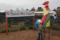 IMG_20230314_101035554