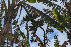 PXL_20240525_201423257