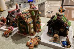 IMG_20251130_163649