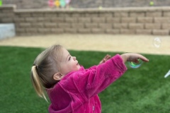 IMG_20231025_132700853