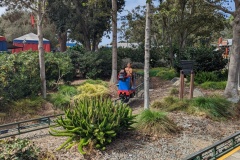 PXL_20250927_202614735