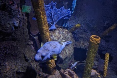 PXL_20250927_210842263